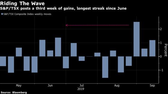Vindicated Stock Bulls Now See Choppy Markets Ahead for Canada