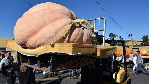 A pumpkin is hoisted off a truck to be weighed at the 42nd annual Safeway World Championship Pumpkin Weigh-Off Contest in the World Pumpkin Capital of Half Moon Bay, California on October 12, 2015.