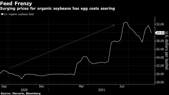 Americans to Pay Up for Organic Eggs After Trade Spat With India