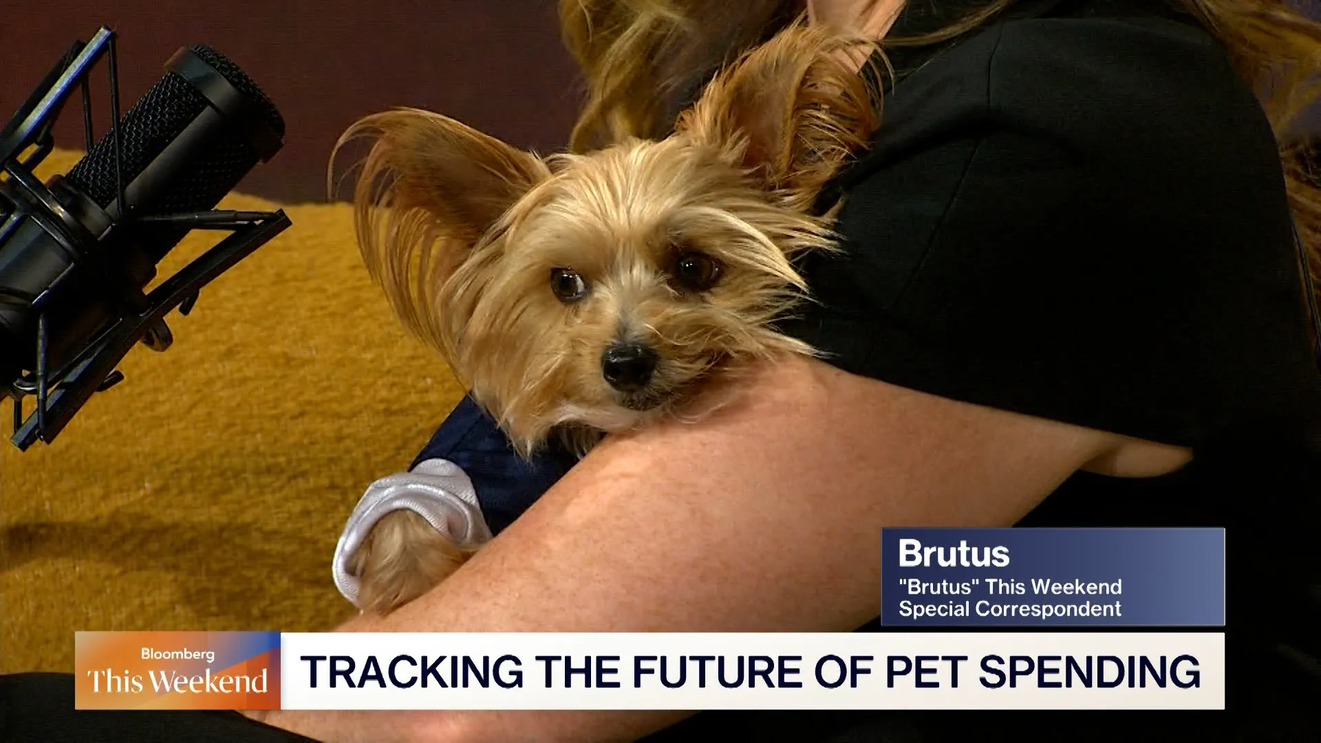 Watch US Pet Market Set to Surpass $250 Billion