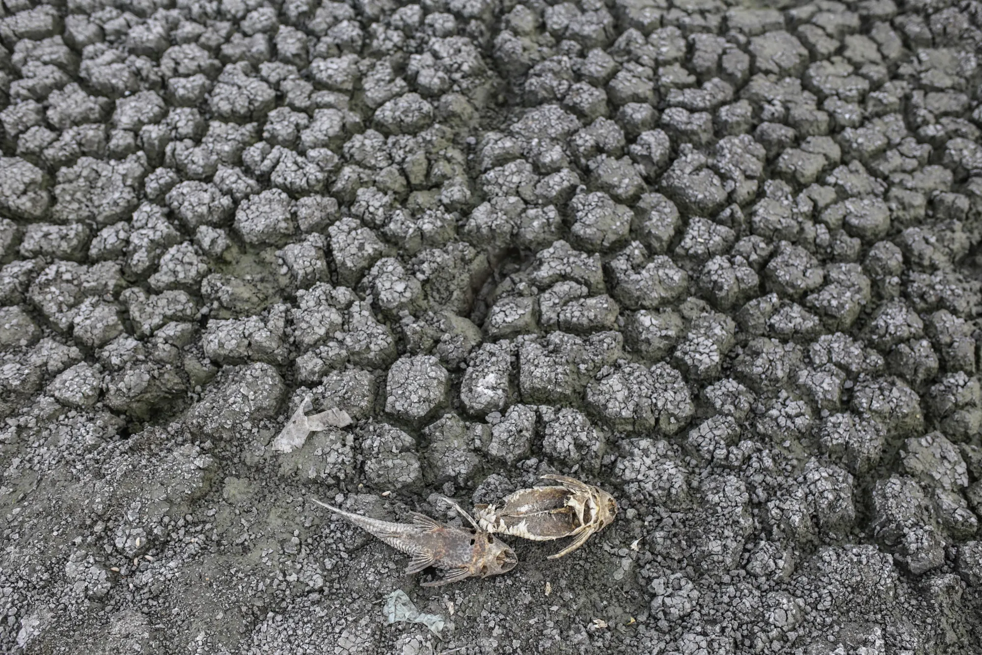 A dried-out lake in Chennai.