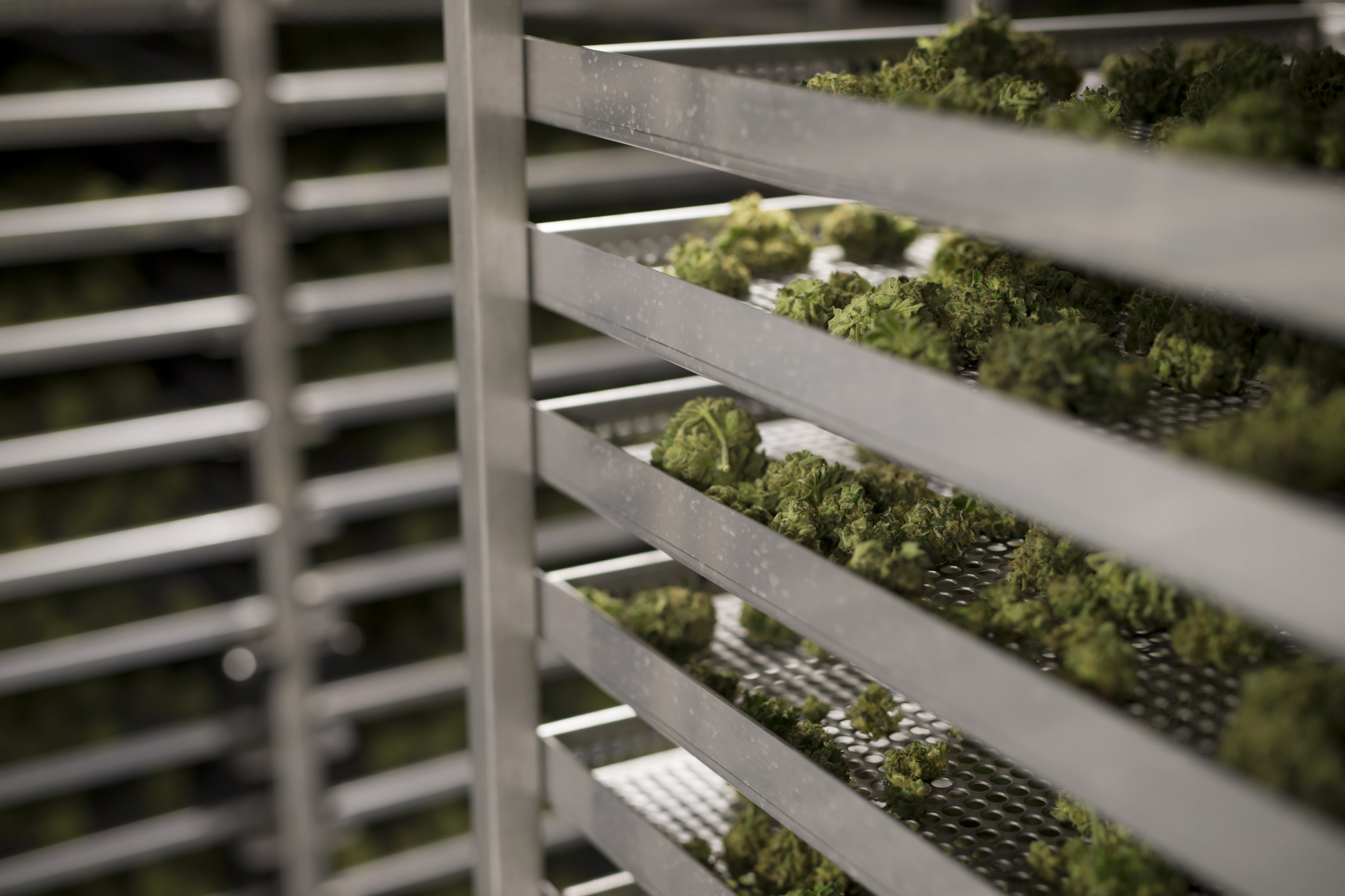 Marijuana Firm Curaleaf Seeks Valuation Up to $4 Billion - Bloomberg