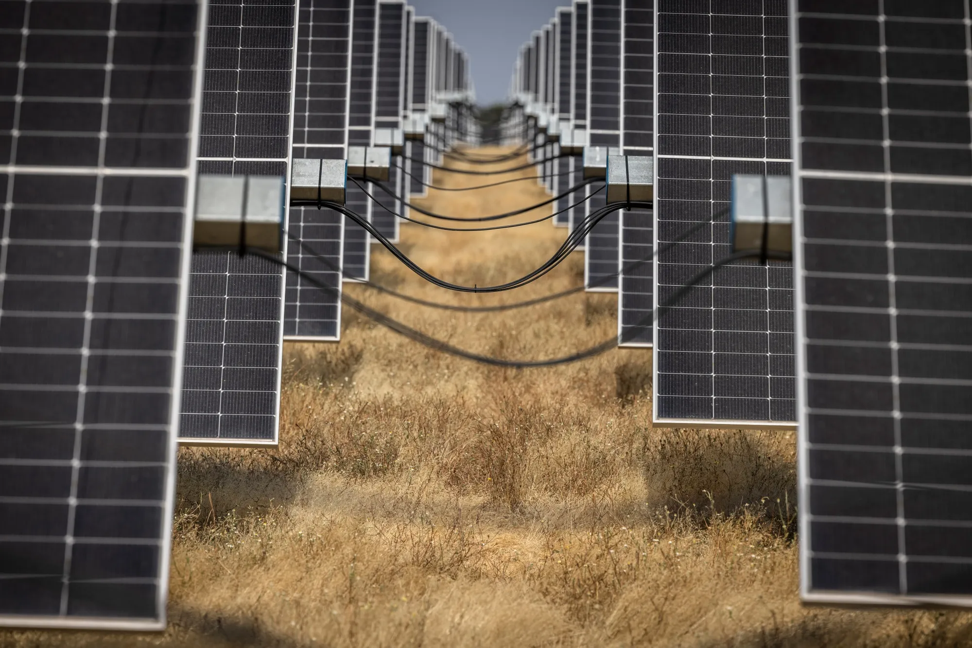 The bloc’s restrictions on foreign investment include four key sectors - batteries, electric vehicles, solar and critical raw materials.