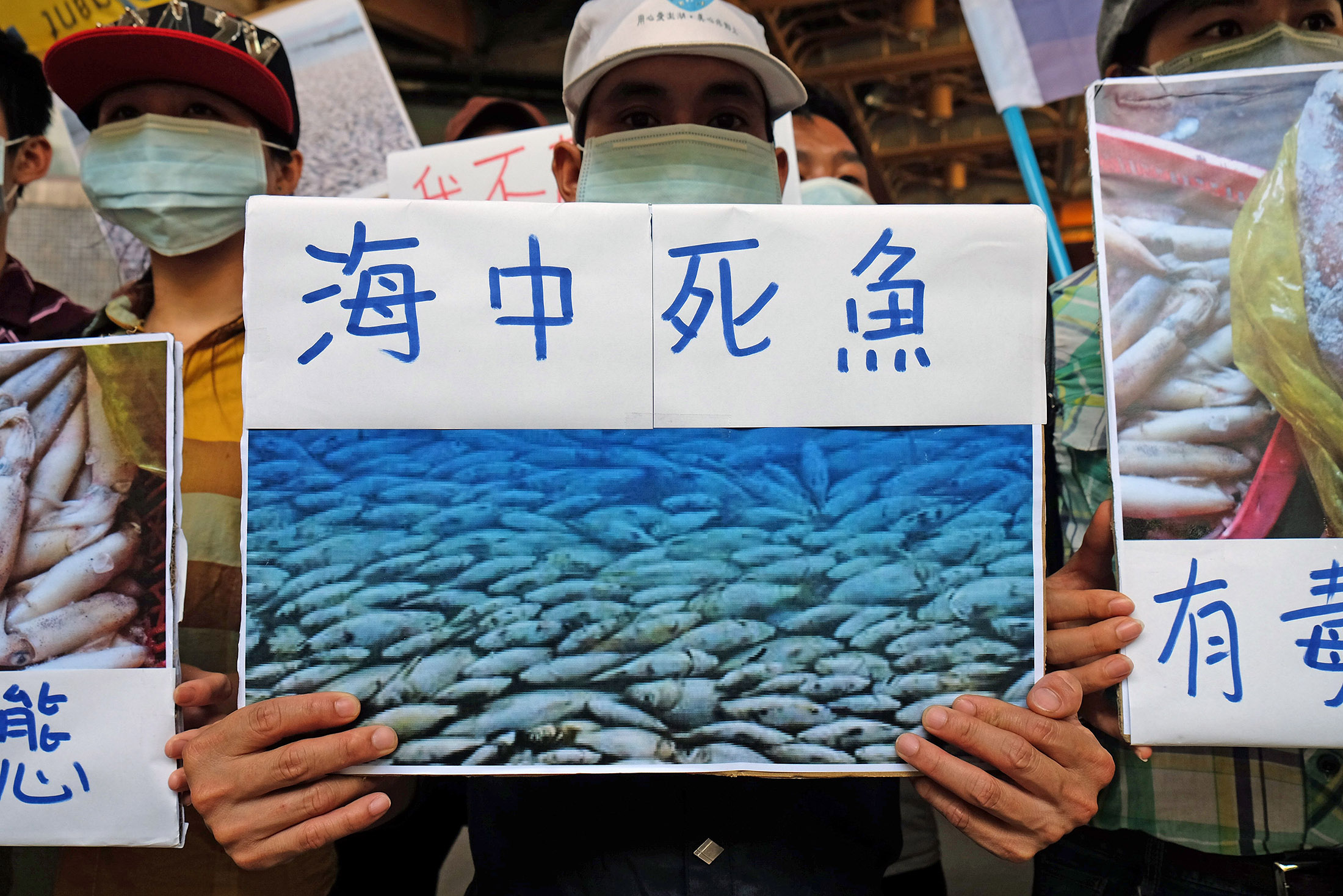 A man displays a placard reading 'dead fish in the sea' during a protest in Taipei, on June 18, 2017.
