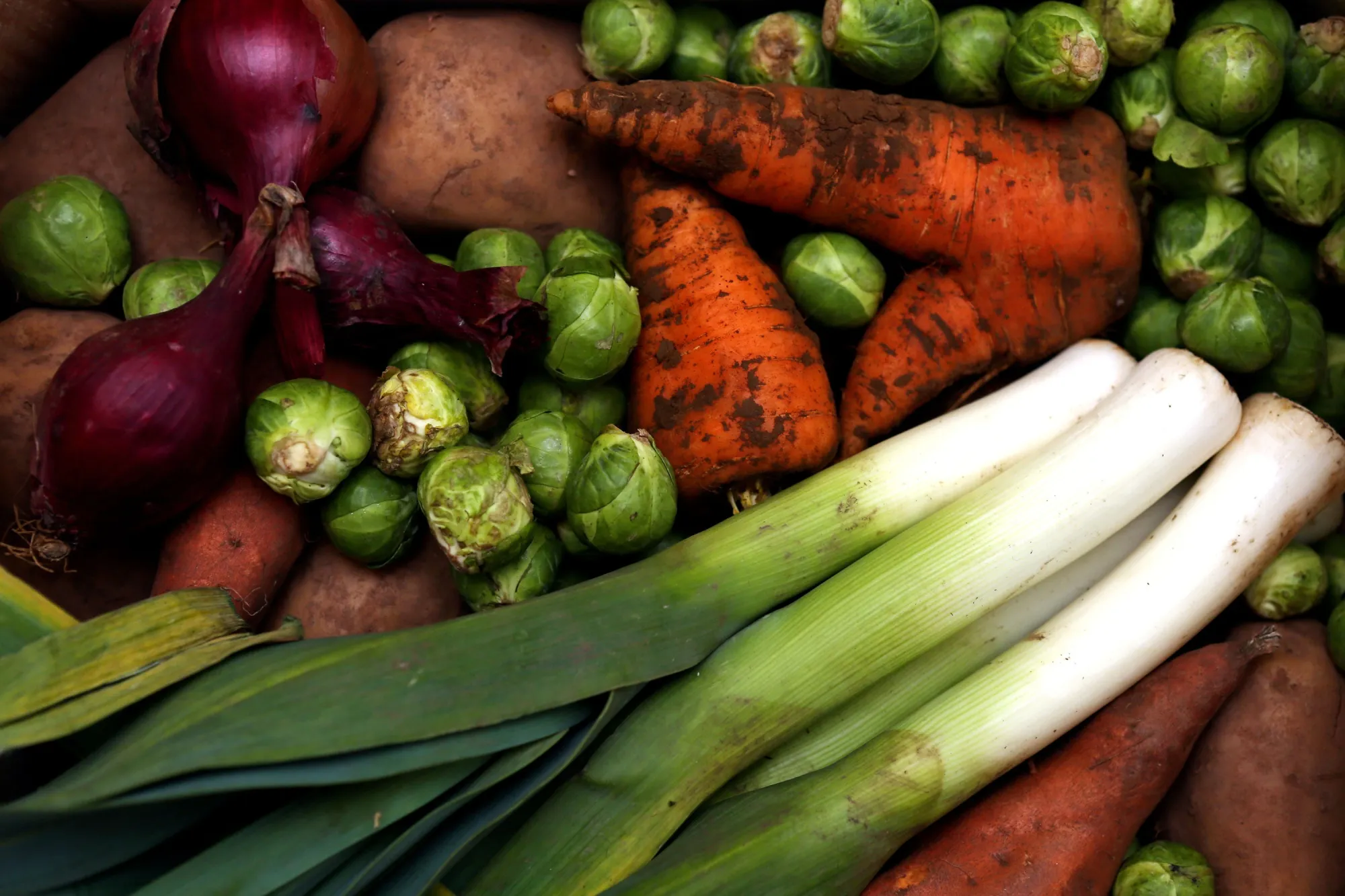 Packing your diet full of vegetables does not protect against heart disease, a new study suggests.&nbsp;