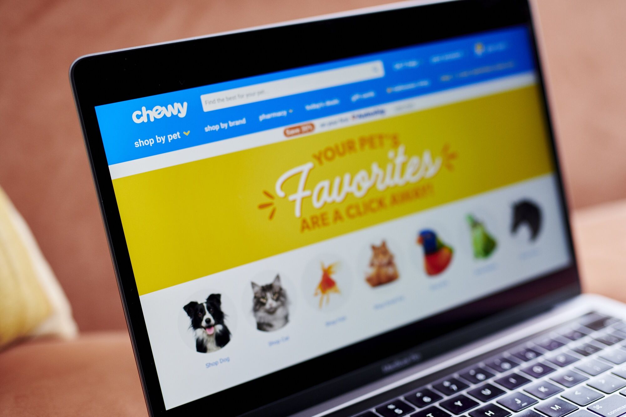 PetSmart, Chewy Overlapping Directors Focus of DOJ Complaint Bloomberg