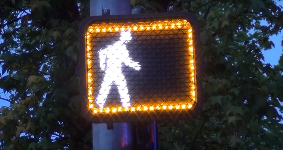 Safer for Pedestrians, Types of Crossing