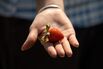 Google’s Moonshot Lab Is Now in the Strawberry-Counting Business