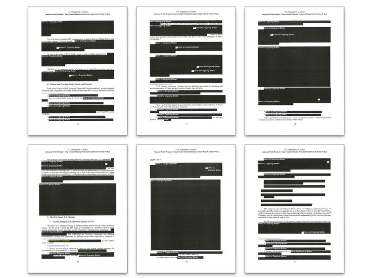 types of redacted information in meuller report