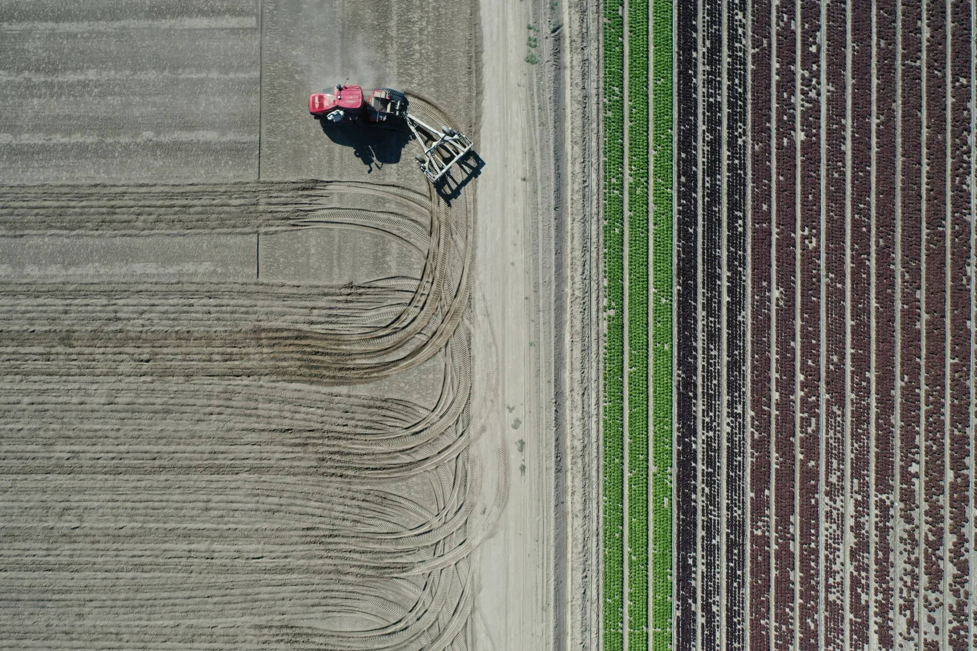 A tractor tills soil on a farm in Coachella, California.