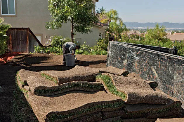 A worker gets ready to install sod at the Murrieta house