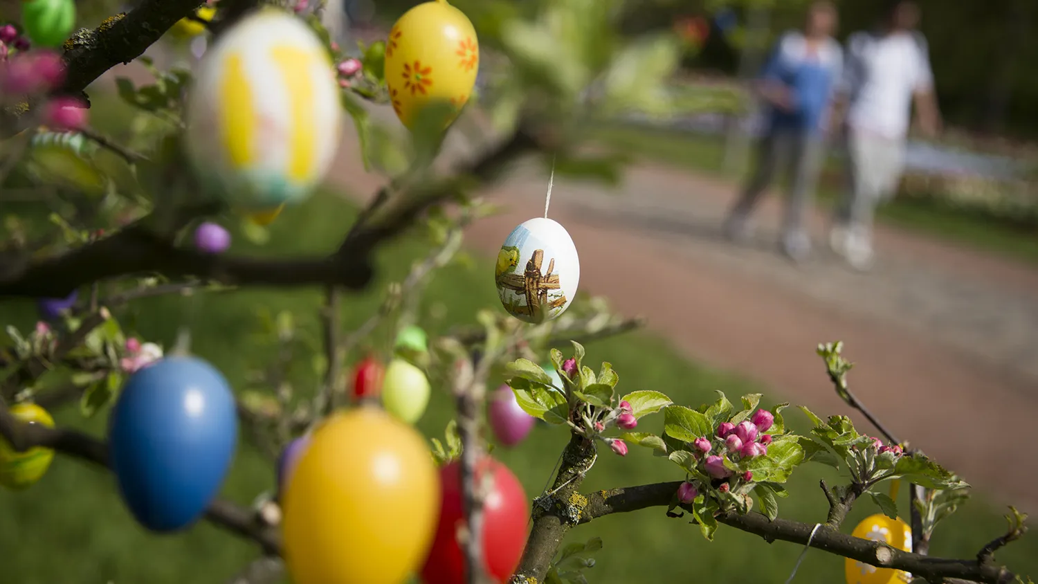 Decorated easter eggs are seen hanging on a tree in Britzer garden park in Berlin on April 21, 2014.
