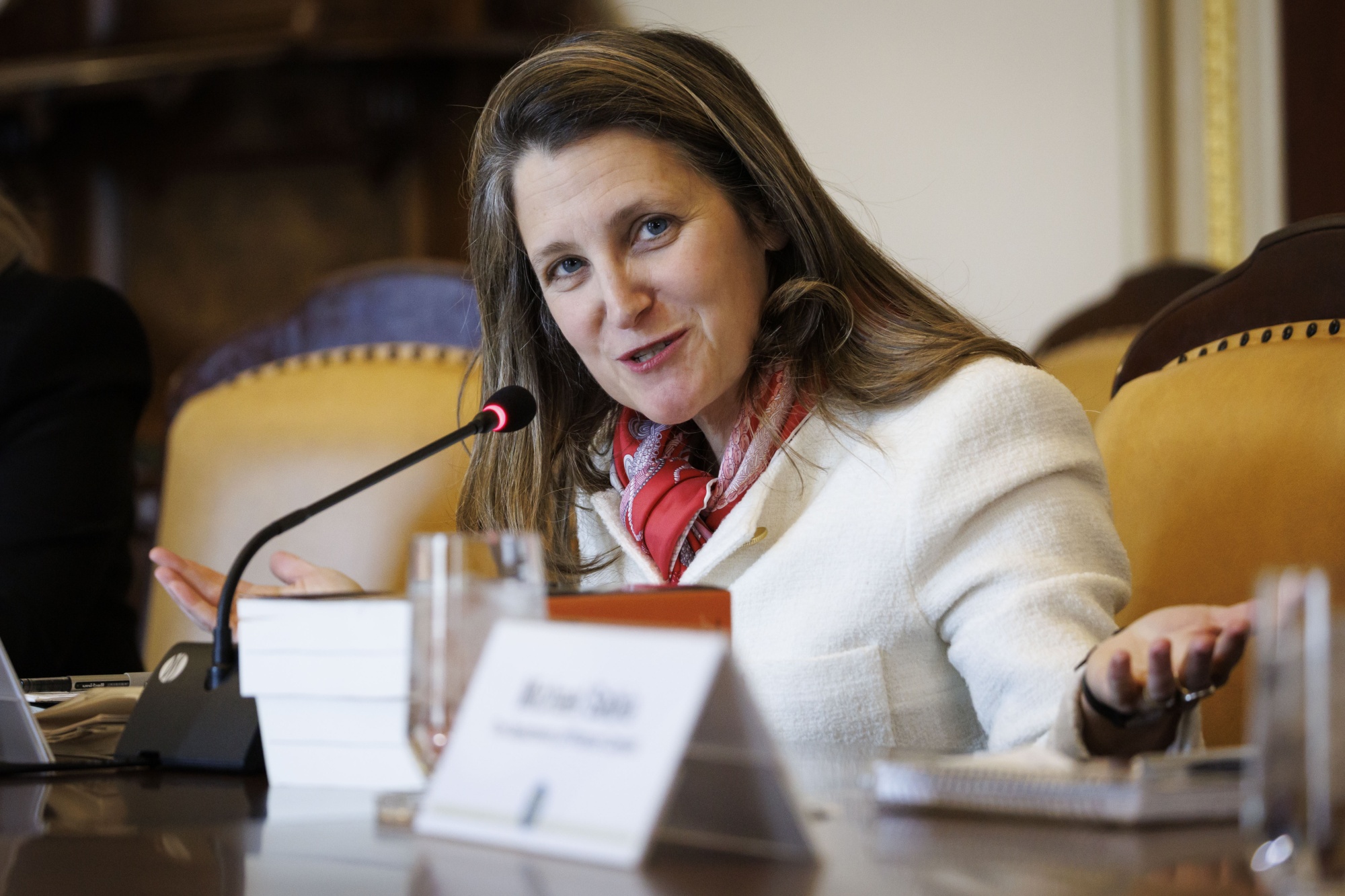 Canada’s Chrystia Freeland Faces Spending Demands And Darker Economic ...