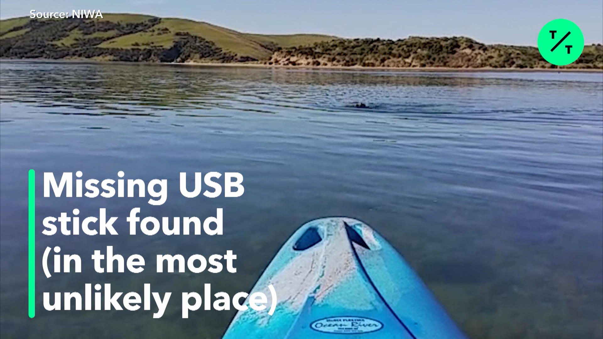 Watch USB stick found in seal scat Bloomberg