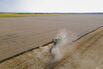 Ukrainian Wheat Harvest as Russia Threatens Global Food Supplies