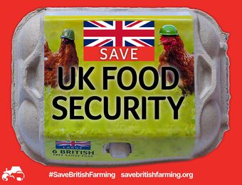 relates to UK Farmers to Drive Tractors to London to Protest Food Policies
