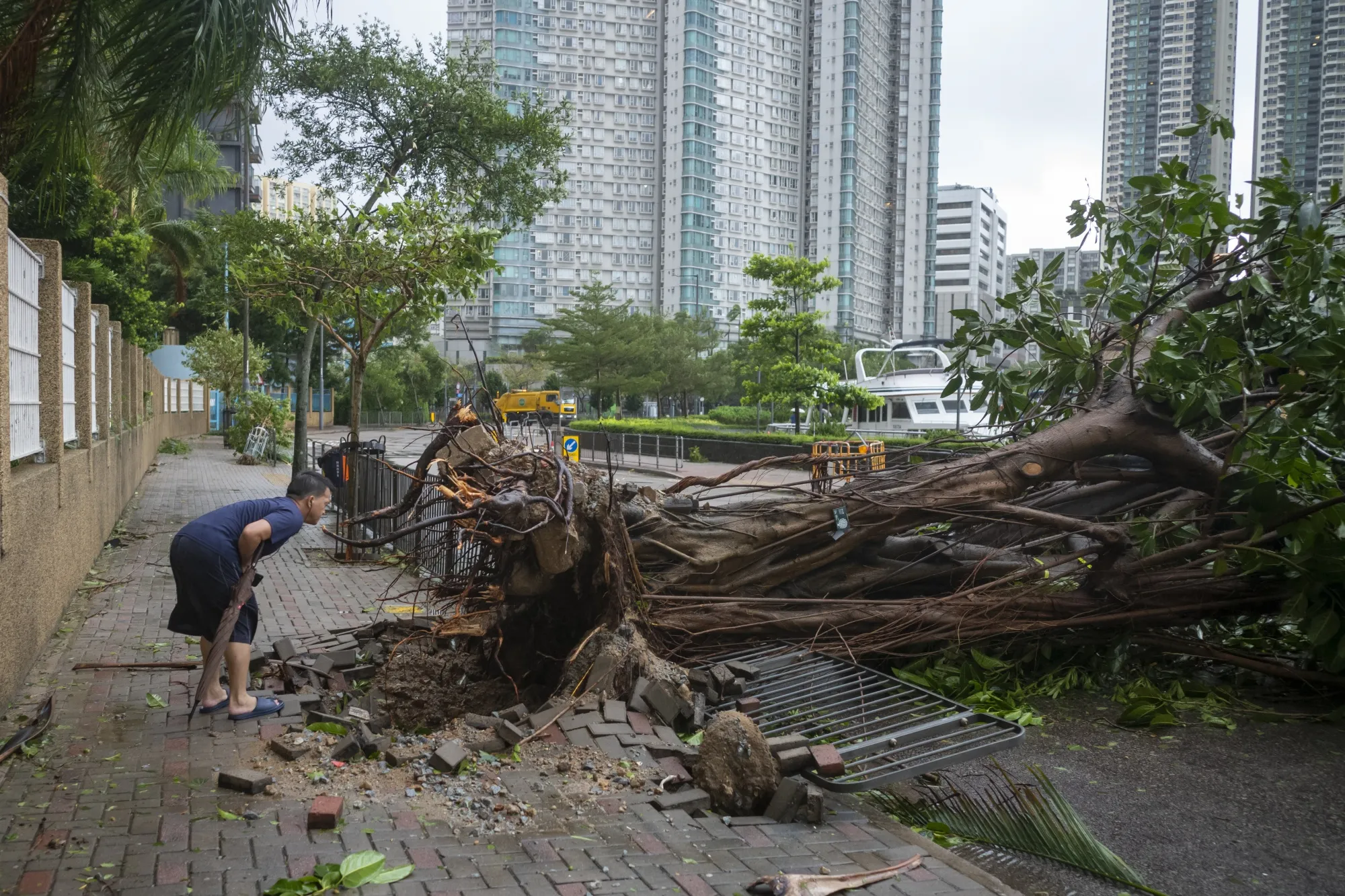 Clean-up time in Hong Kong, after Super Typhoon Saola passed through.