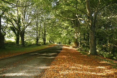 Some 380 acres of mature parkland are ripe for hunts with the North Kerry Harriers club.