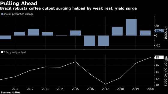 Brazil Expected to Oust Vietnam as World's Top Robusta Coffee Grower