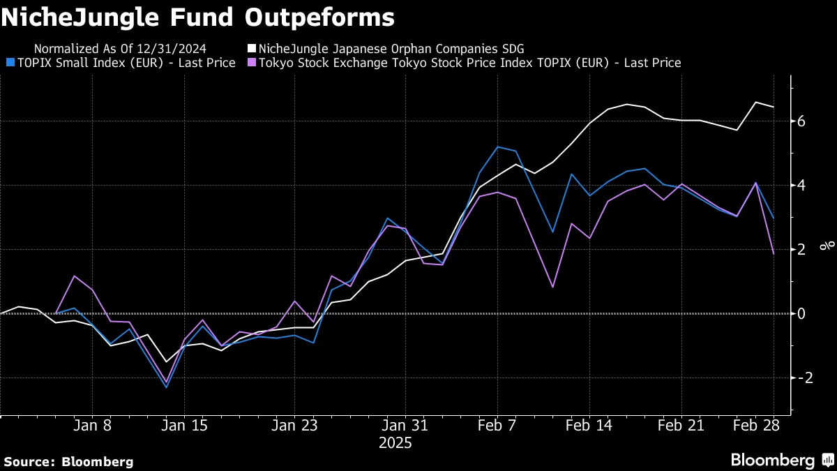 Japan Small-Cap Fund Beats Peers With Stocks Few Analysts