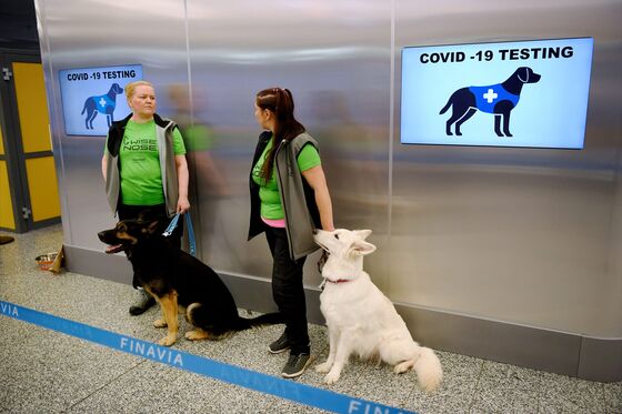 Airports Use Speedy Virus Tests, Sniffer Dogs to Spur Travel