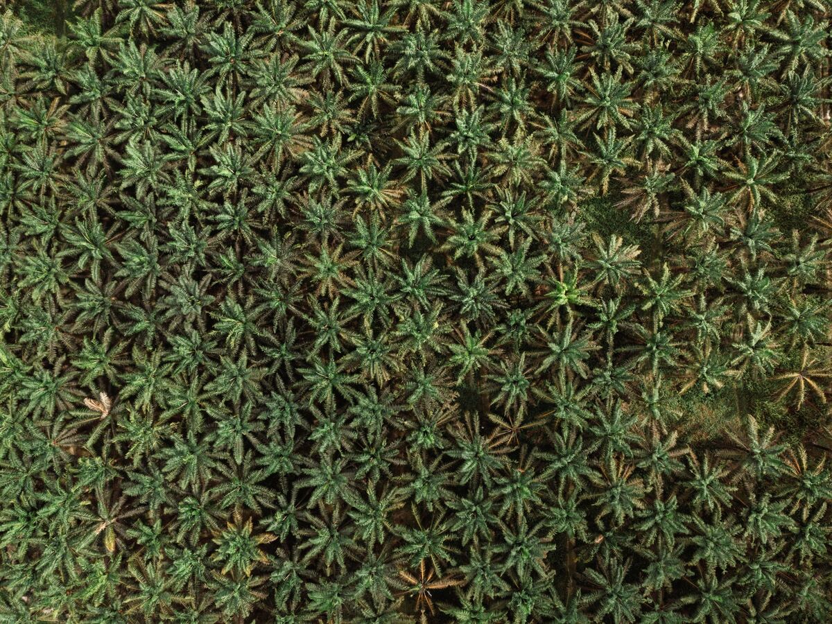 assets.bwbx.io image