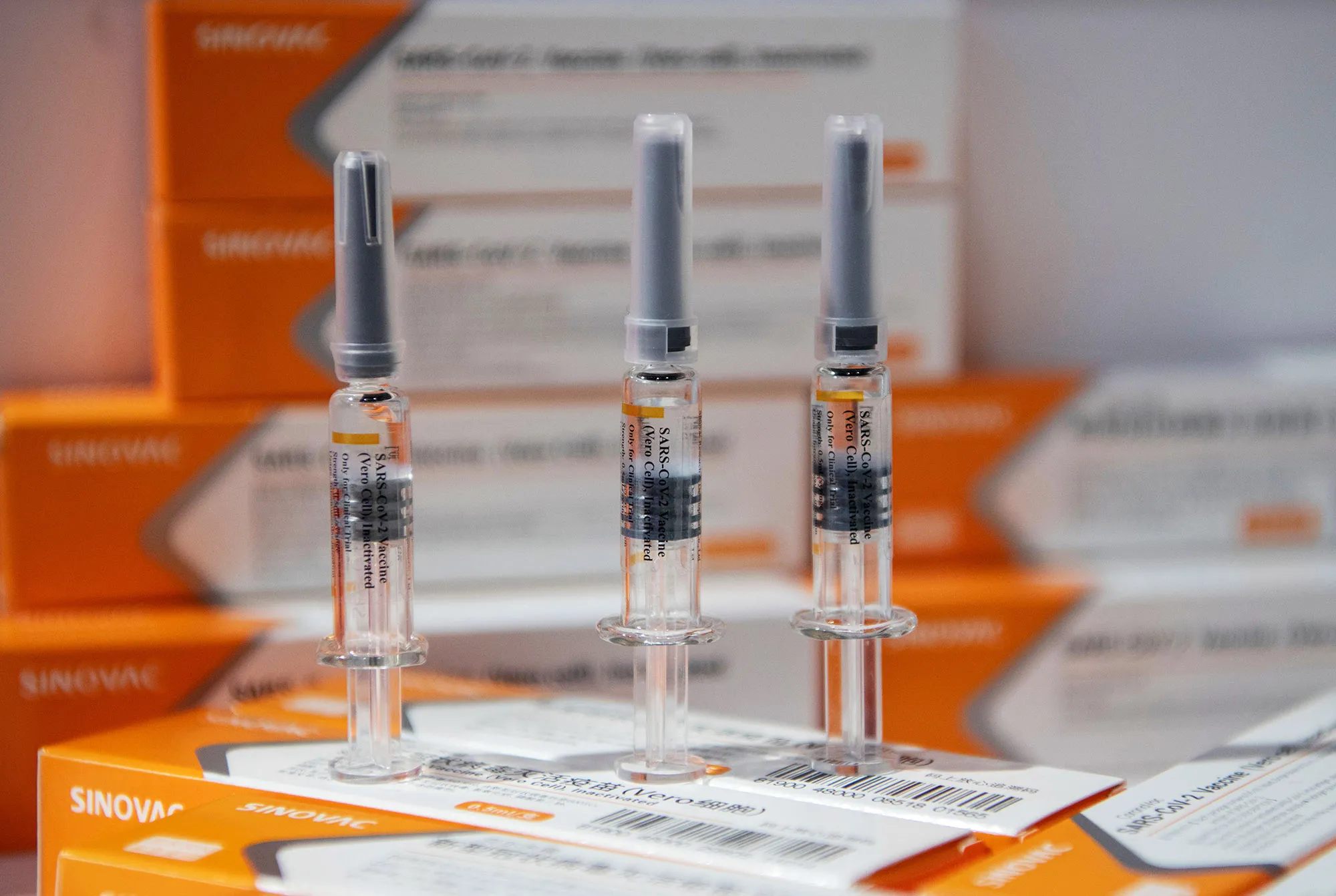 Sinovac Biotech LTD vaccine on display at the China International Fair for Trade.