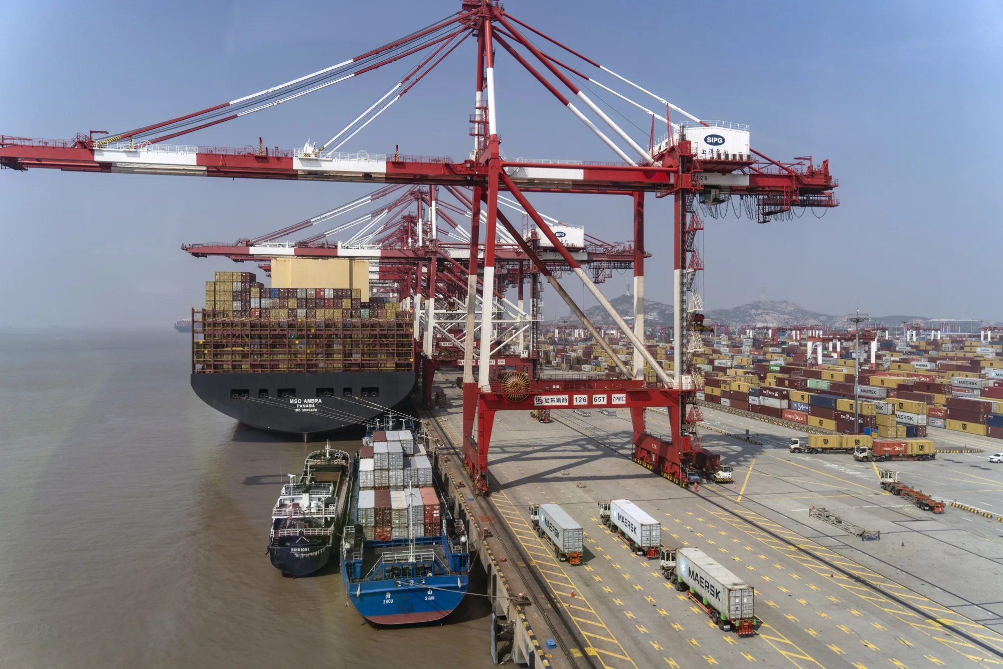 Container ships and gantry cranes at the Yangshan Deepwater Port in Shanghai in 2024.