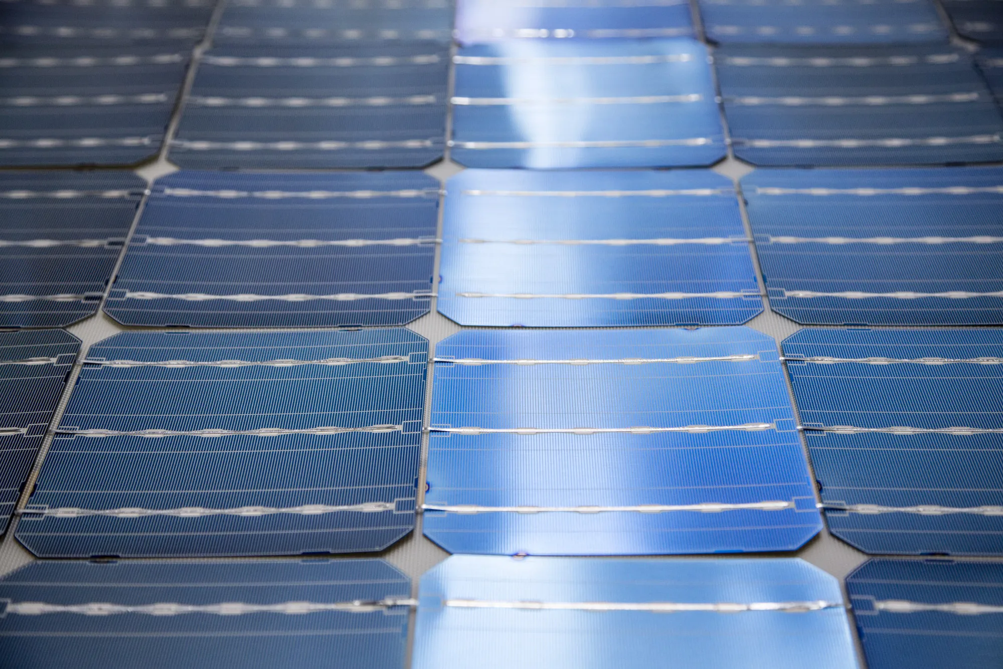 Photovoltaic cells on an assembly line.
