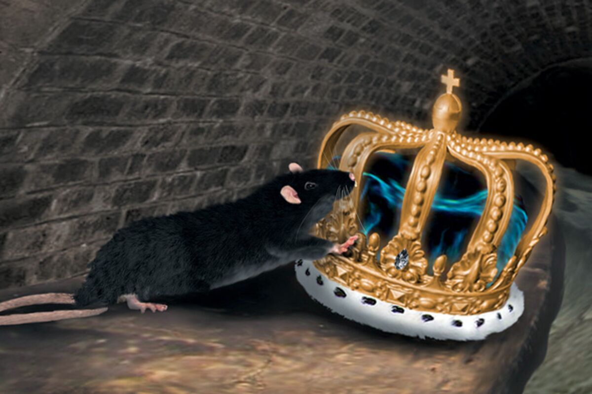 Burner - Rat King Crown (OFFICIAL STREAM) 
