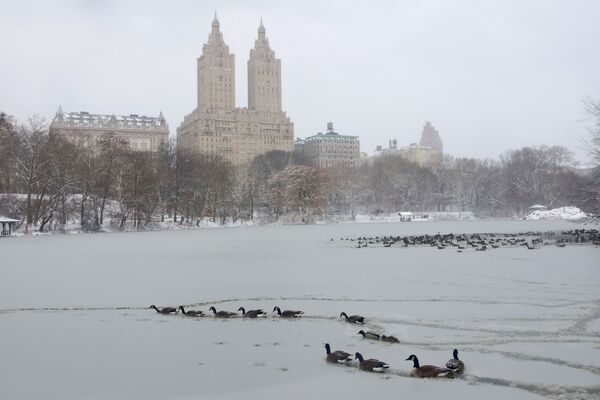 Central Park After an Overnight Snowstorm in New York City