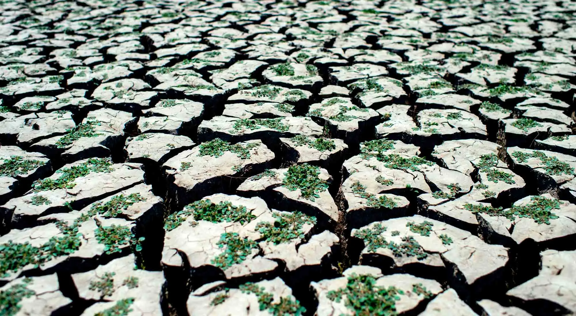TOPSHOT-CHILE-HEALTH-VIRUS-DROUGHT