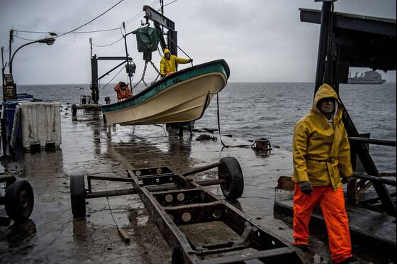 Patagonian Squid Riots Shake South America’s Fishing Leader