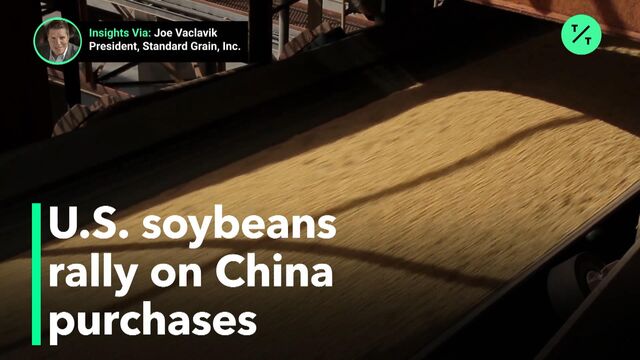 Video player cover image