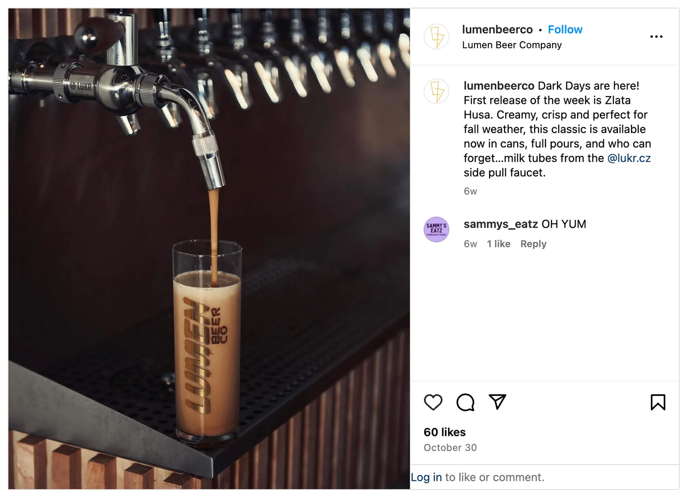 10 Best Beers, Cider and Seltzer of 2024 - Bloomberg