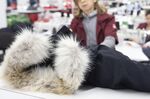 An employee checks a finished jacket with a fur collar at the new Canada Goose Inc. manufacturing facility in Montreal, Quebec, Canada, on Monday, April 29, 2019. The facility is Canada Goose's second factory in Quebec and eighth wholly-owned facility in Canada.