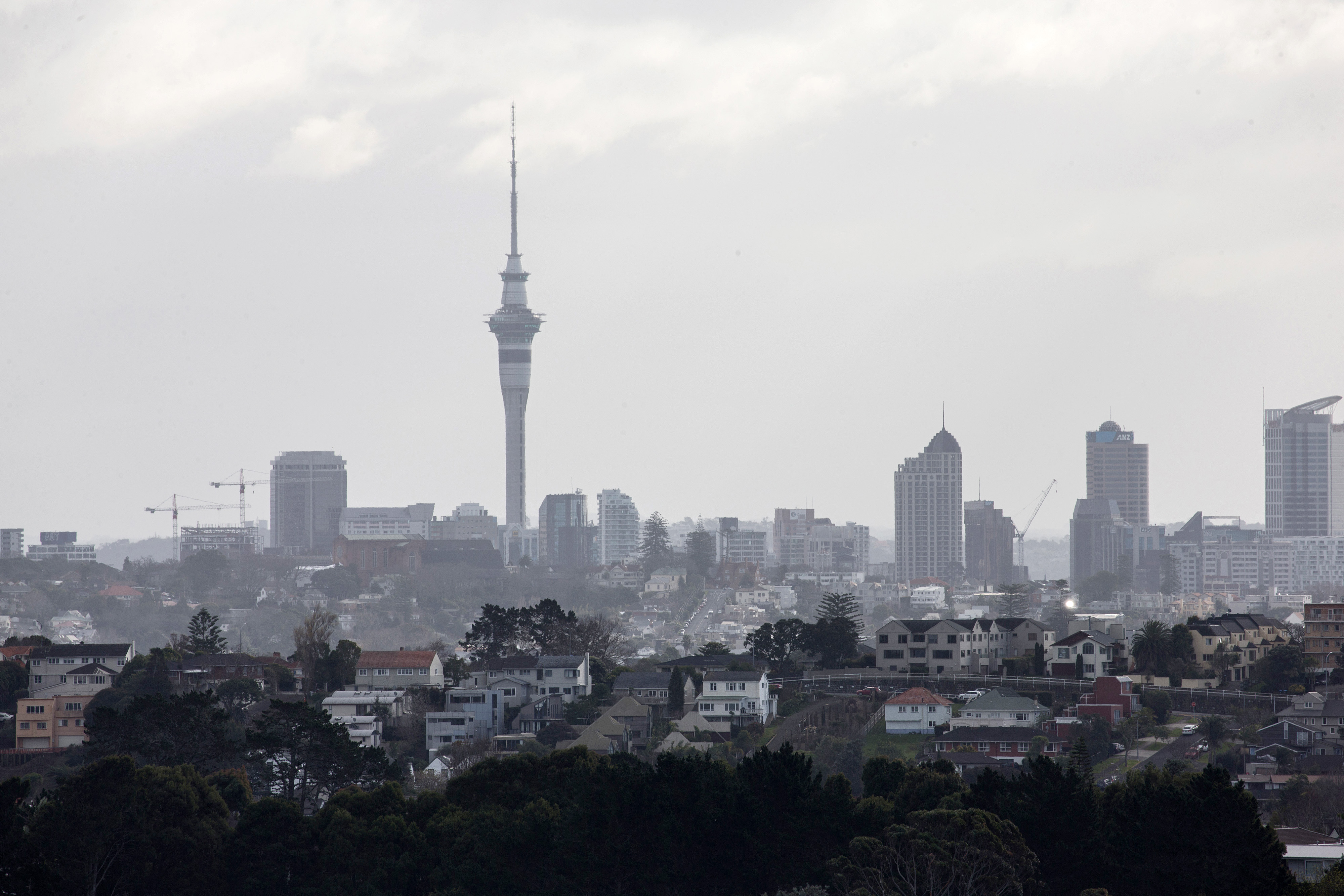 Auckland Residential Property Ahead Of RBNZ Rate Decision