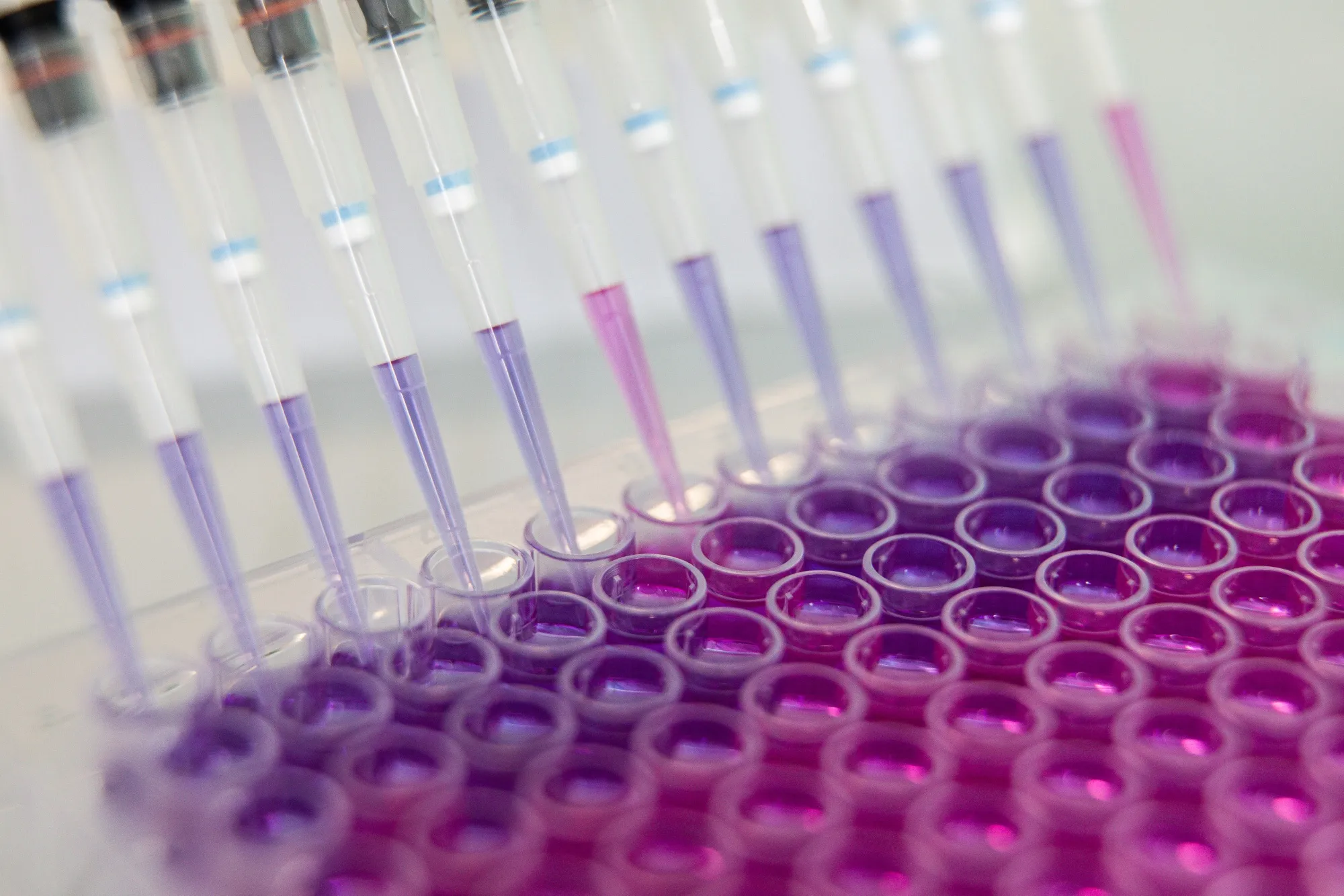 Laboratory Research On A Covid-19 Vaccine