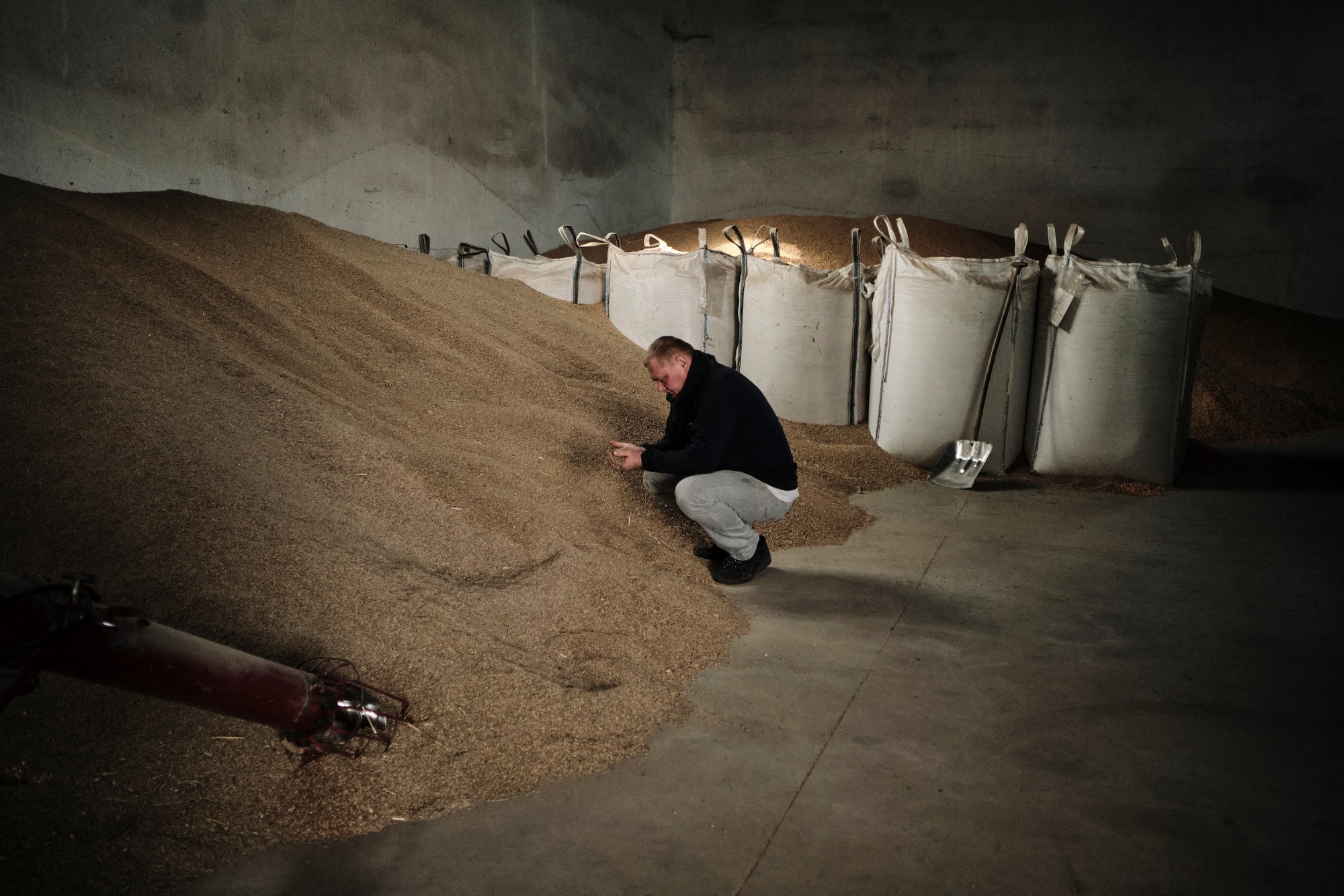 A farmer and member of the AgroUnia union inspects unsold rye stores on a farm in Sedziejowo, Poland, April 17.