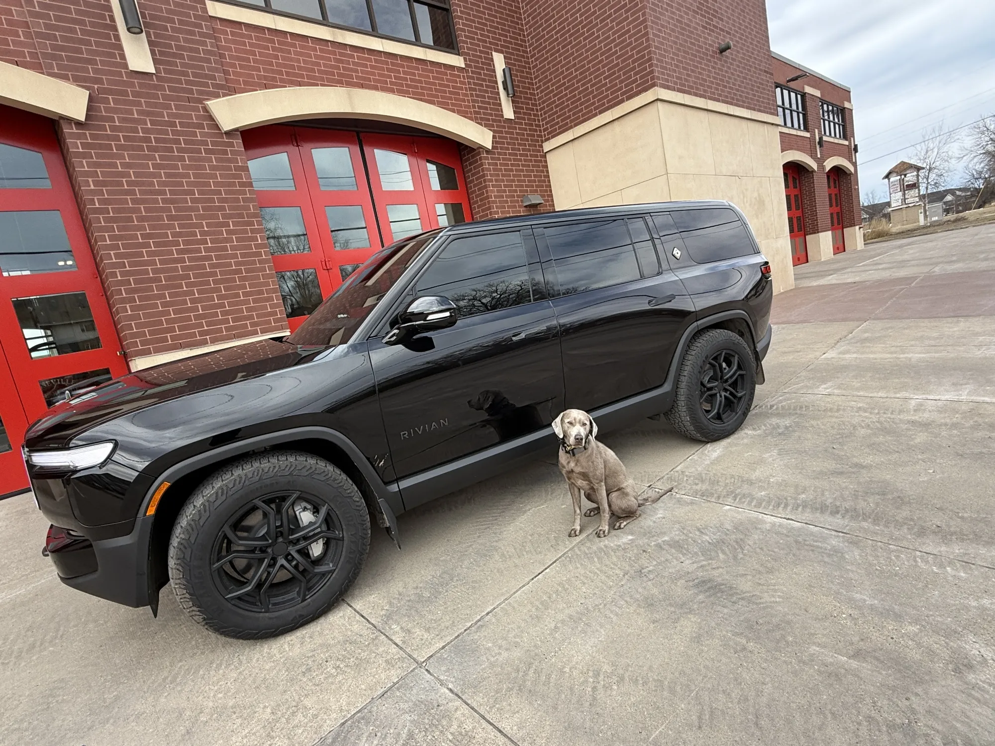 Ashes, a therapy dog with the Roseville, Minnesota fire department, enjoys the&nbsp;“Pet Comfort” feature on the squad’s new Rivian SUV.&nbsp;