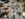 TOPSHOT-ISRAEL-PALESTINIAN-CONFLICT-PHOTO ESSAY