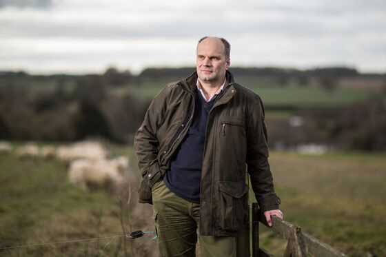 Why Lamb Chops Could Be on the Menu in a No-Deal Brexit