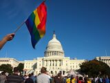 A demonstrator waves a rainbow flag in f