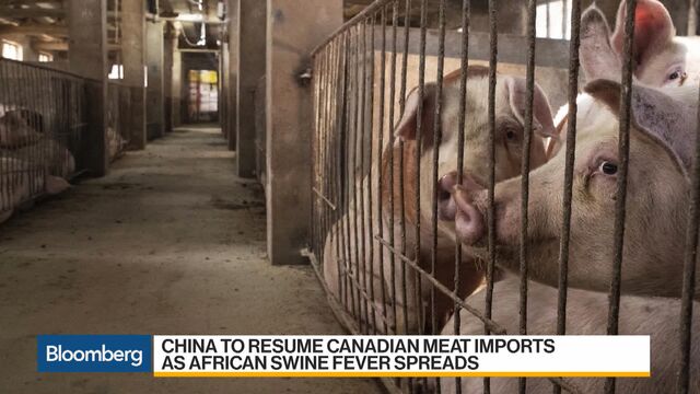 Bloomberg business news