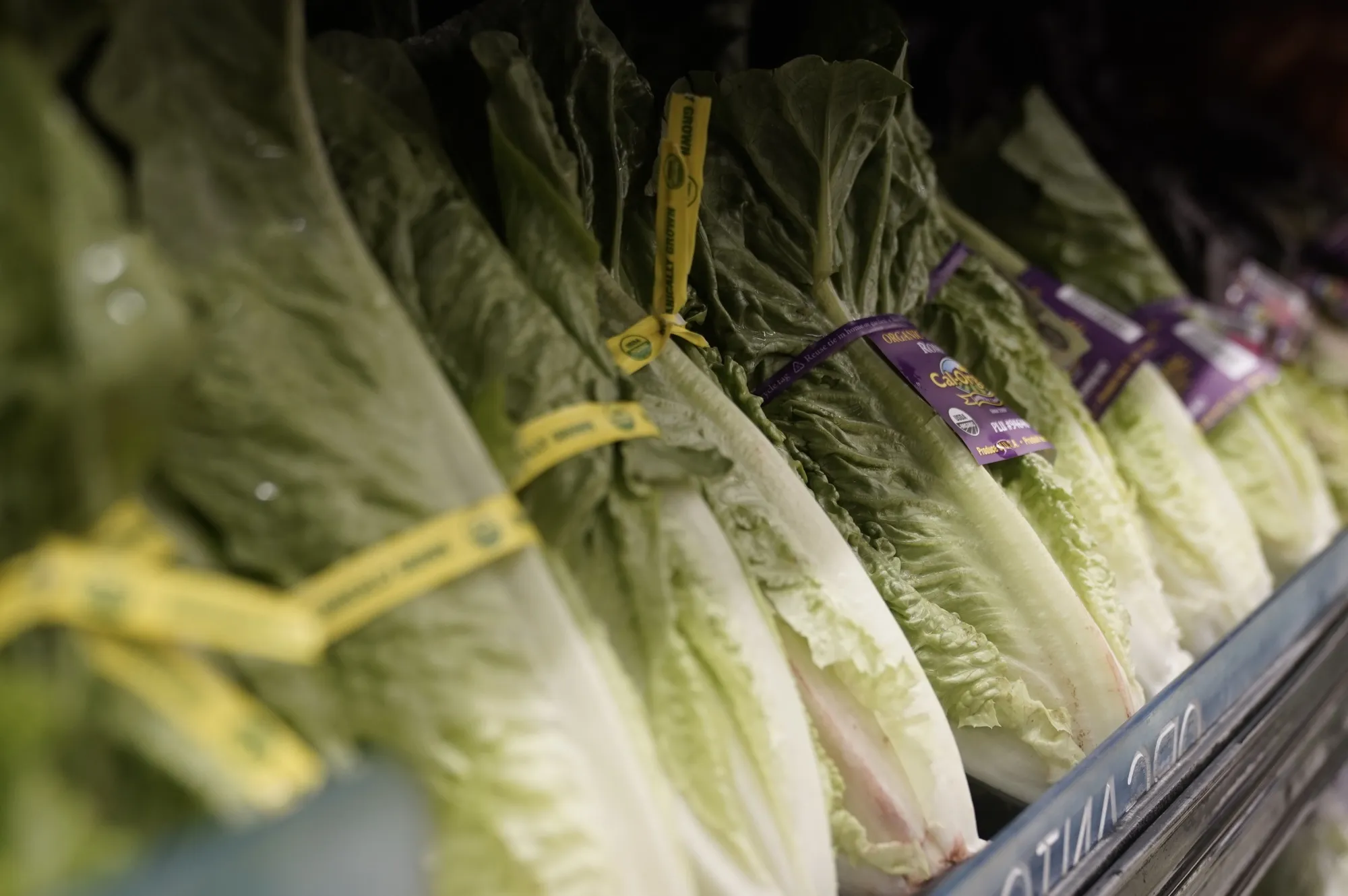 Romaine lettuce at a grocery store in San Diego.