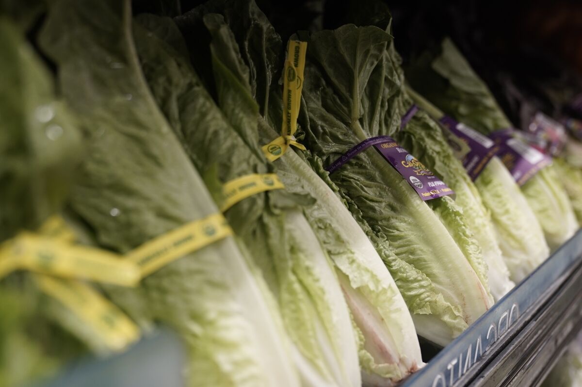 
                            Hold the Salad as Lettuce and Tomato Prices Surge in February