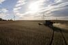 Soybeans are harvested with a Case IH Agricultural Equipment Inc. combine harvester in this aerial photograph taken above Tiskilwa, Illinois, U.S..
