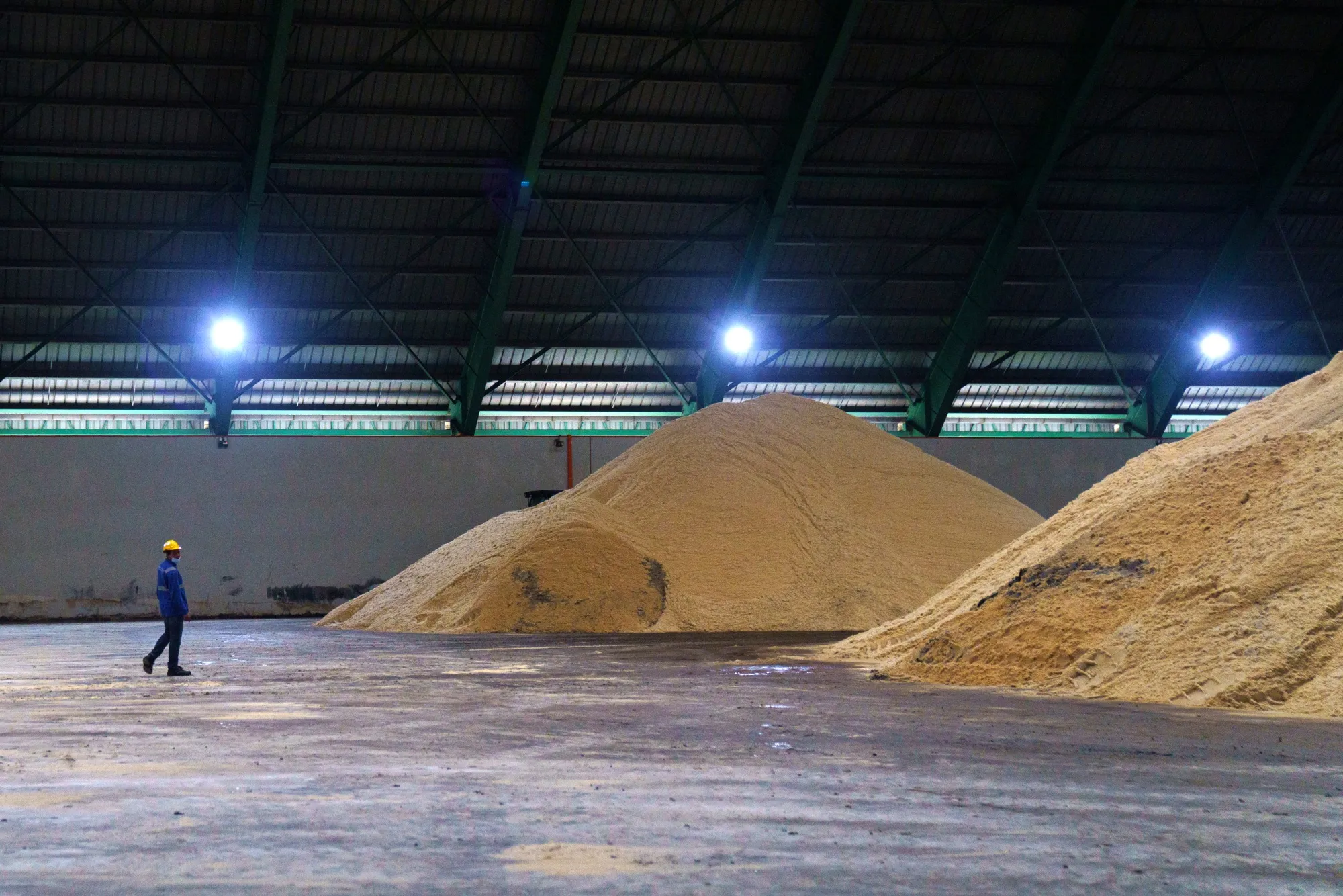 Raw sugar in a warehouse at a sugar refinery.