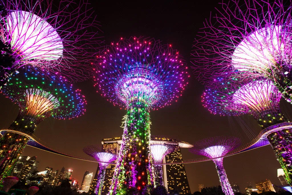 Solar-powered "Supertrees" at Gardens by the Bay stand illuminated at night in front of the Marina Bay Sands hotel and casino in Singapore.
