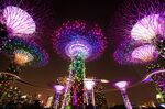 Solar-powered "Supertrees" at Gardens by the Bay stand illuminated at night in front of the Marina Bay Sands hotel and casino in Singapore.